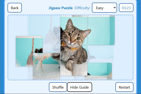 Jigsaw puzzle